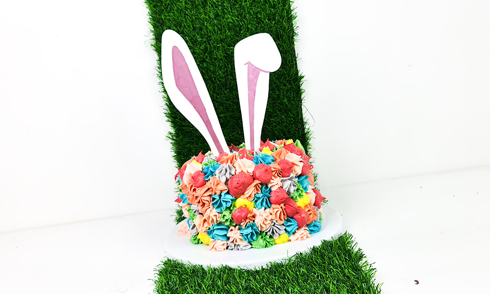 Easter Bunny Raspberry Ripple Cake